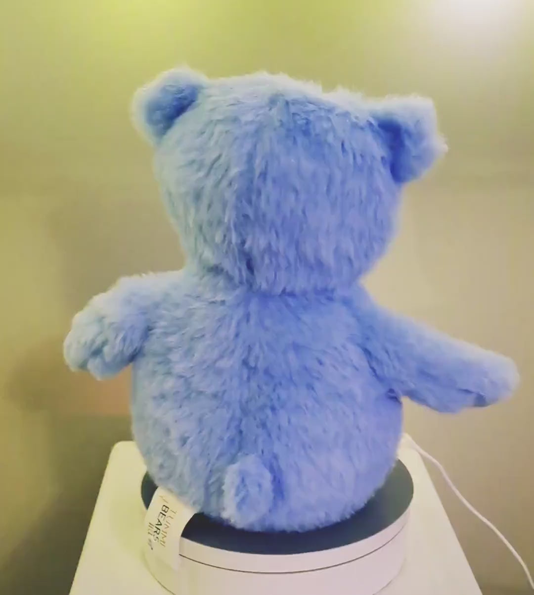 Personalised Teddy Bear for New Baby Gift