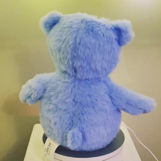 Personalised Teddy Bear for New Baby Gift